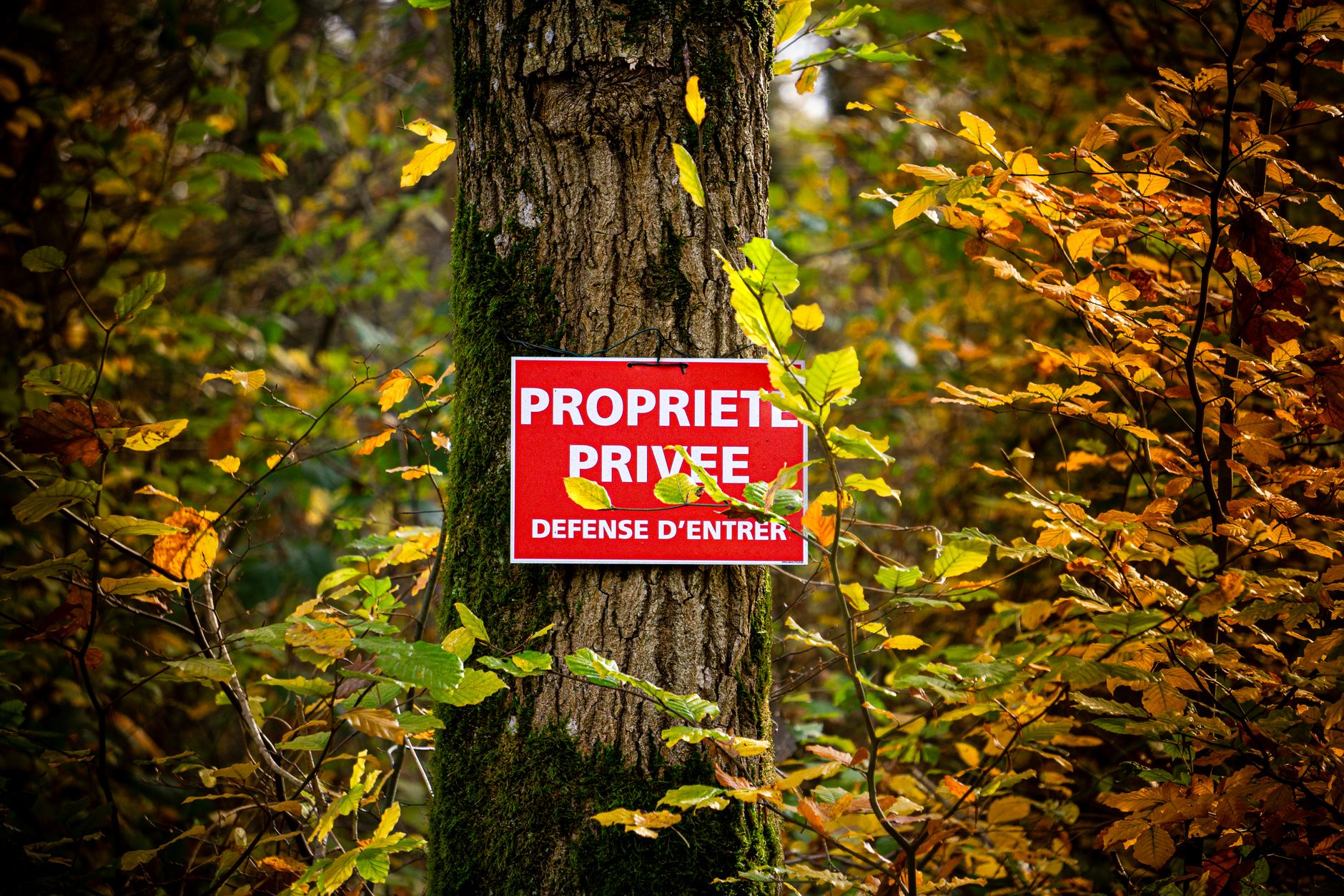 Détective privé à Caen